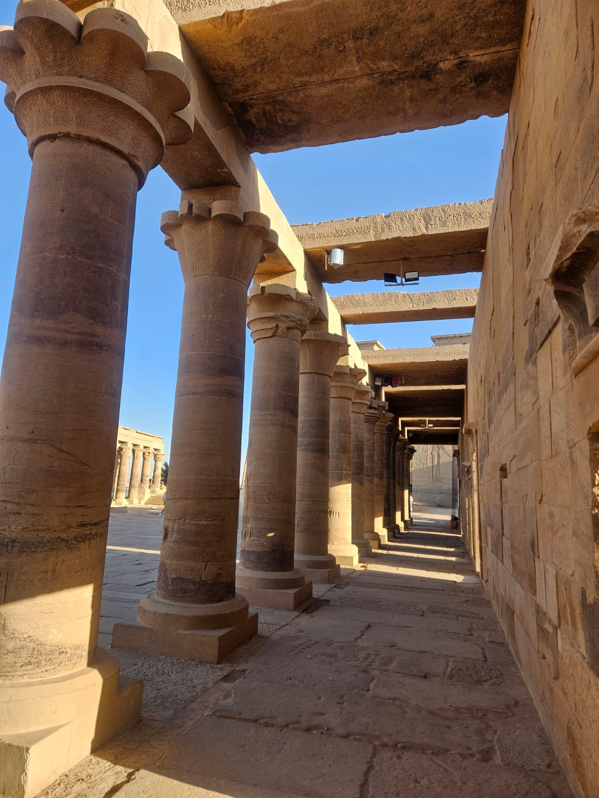               Cultural Egypt                      